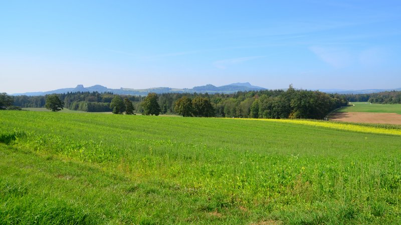 Biotopverbundplanung der Gemeinden Aach, Mühlhausen-Ehingen, Steißlingen und Volkertshausen